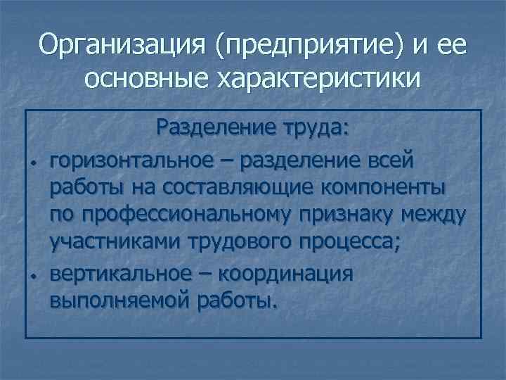   Организация (предприятие) и ее  основные характеристики   Разделение труда: 
