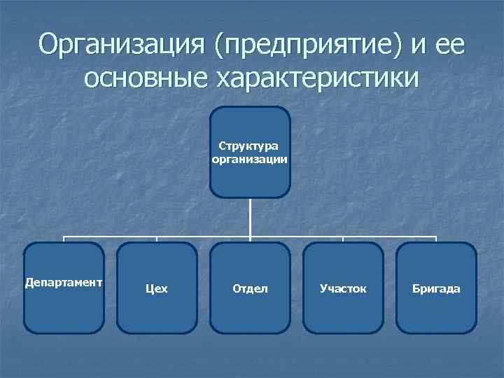  Организация (предприятие) и ее основные характеристики    Структура   