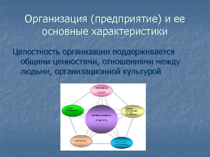  Организация (предприятие) и ее основные характеристики Целостность организации поддерживается  общими ценностями, отношениями