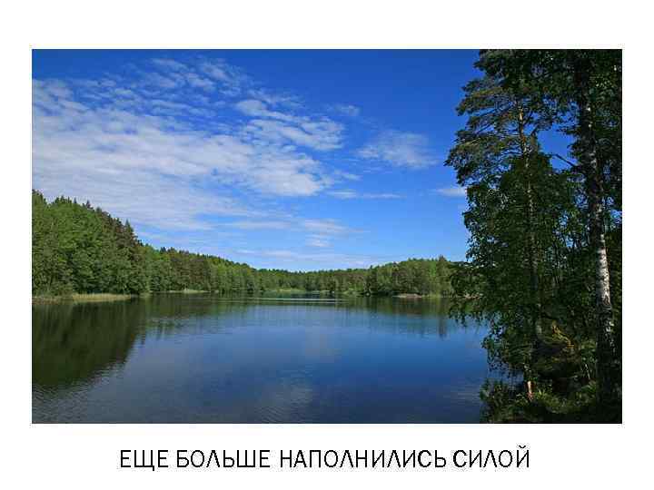 ЕЩЕ БОЛЬШЕ НАПОЛНИЛИСЬ СИЛОЙ 