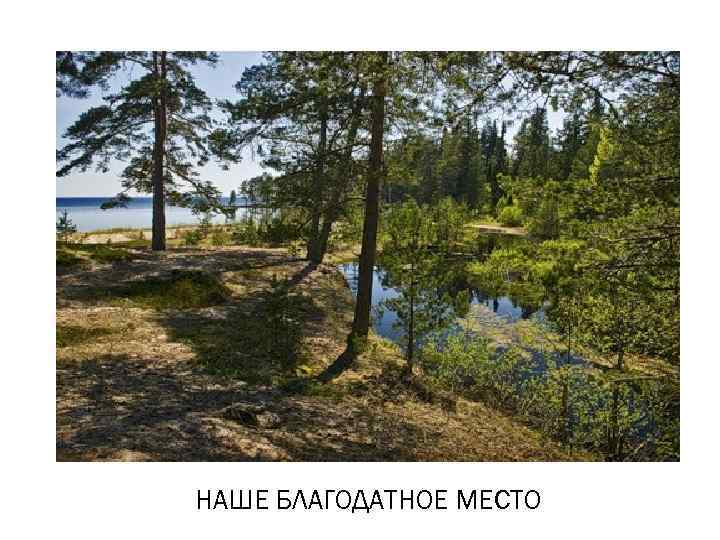 НАШЕ БЛАГОДАТНОЕ МЕСТО 