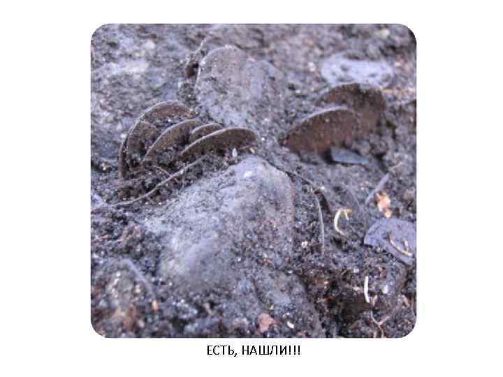 ЕСТЬ, НАШЛИ!!! 