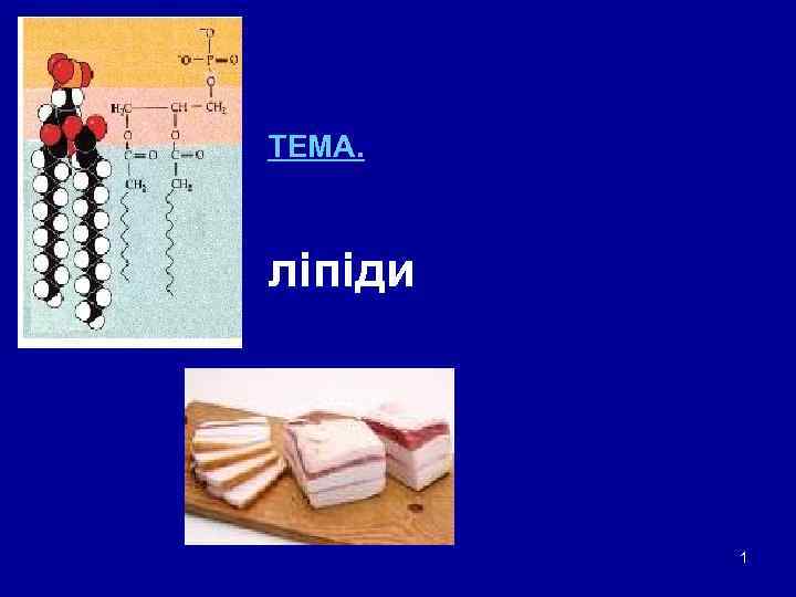 ТЕМА. ліпіди   1 