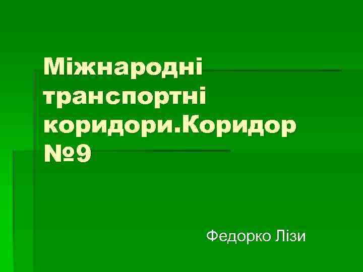 Міжнародні транспортні коридори. Коридор № 9   Федорко Лізи 