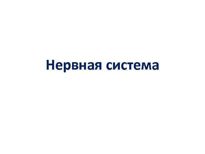 Нервная система 