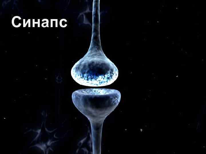 Синапс 