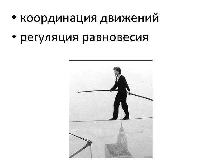  • координация движений • регуляция равновесия 