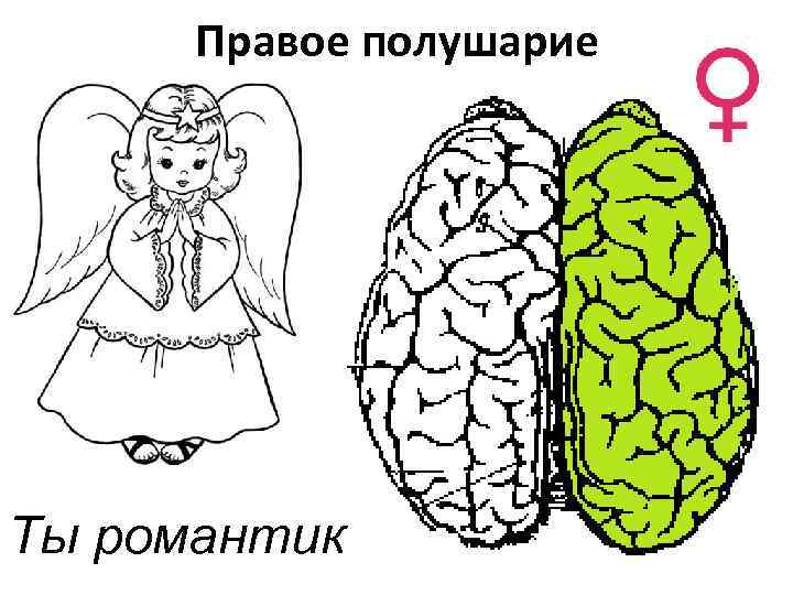  Правое полушарие Ты романтик 