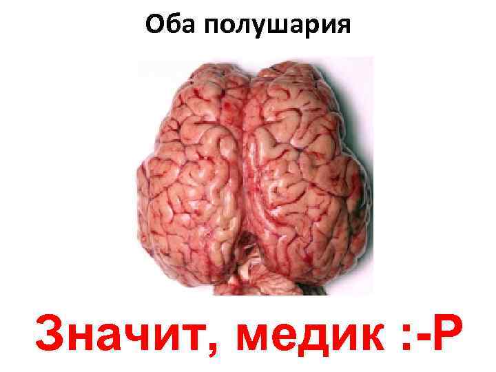   Оба полушария Значит, медик : -Р 