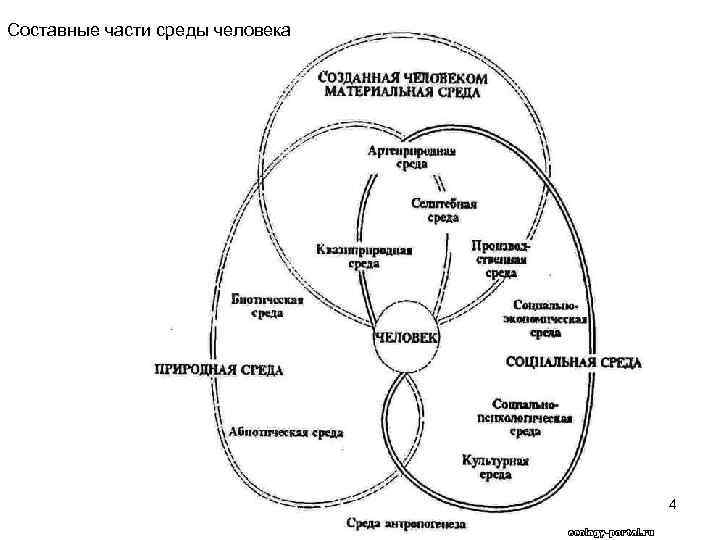 Составные части среды человека       4 