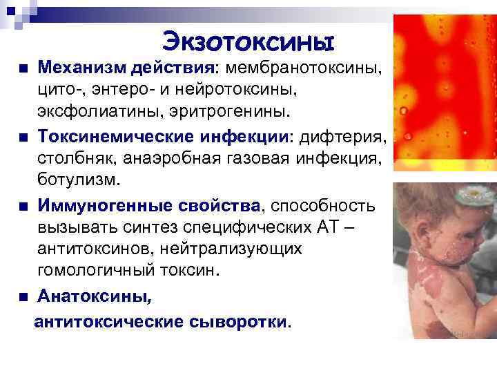    Экзотоксины n Механизм действия: мембранотоксины,  цито-, энтеро- и нейротоксины,