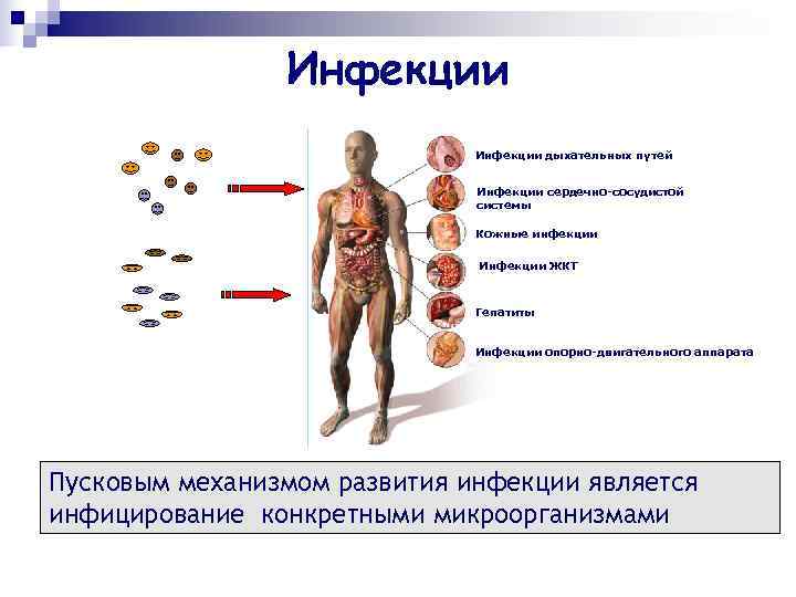     Инфекции дыхательных путей       Инфекции