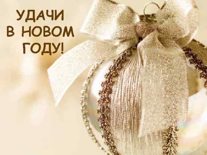  УДАЧИ В НОВОМ  ГОДУ! 