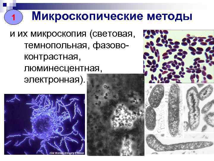 1  Микроскопические методы и их микроскопия (световая, темнопольная, фазово-  контрастная, люминесцентная, электронная).