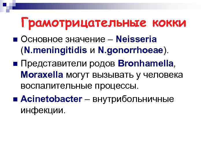   Грамотрицательные кокки n Основное значение – Neisseria  (N. meningitidis и N.