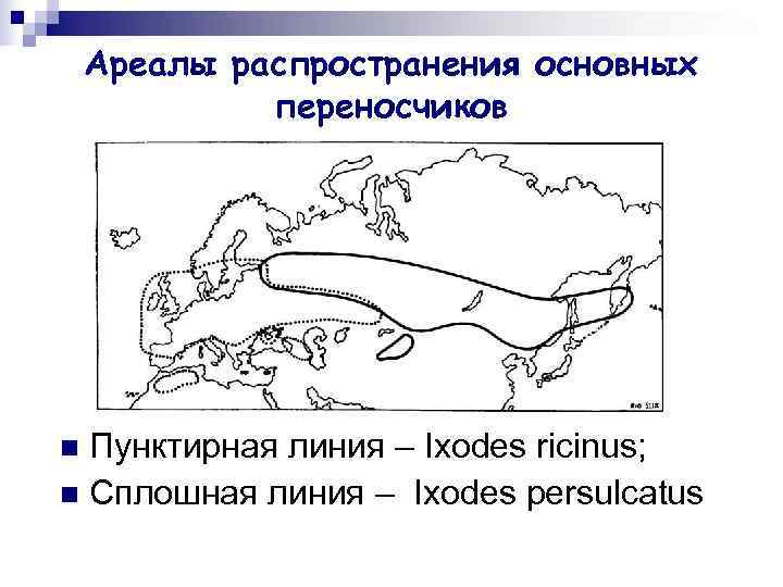   Ареалы распространения основных   переносчиков n Пунктирная линия – Ixodes ricinus;