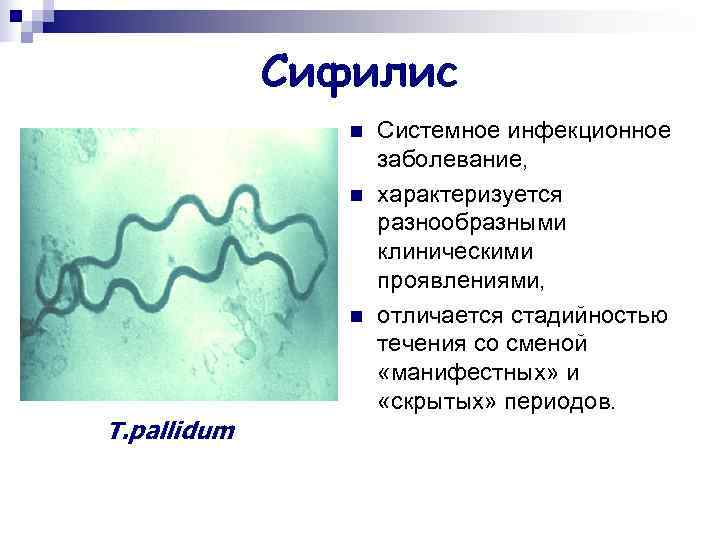    Сифилис   n  Системное инфекционное    