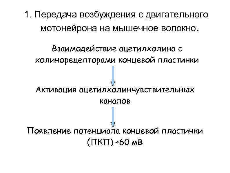 1. Передача возбуждения с двигательного мотонейрона на мышечное волокно.  Взаимодействие ацетилхолина с 
