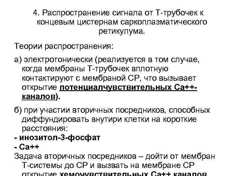  4. Распространение сигнала от Т-трубочек к концевым цистернам саркоплазматического   