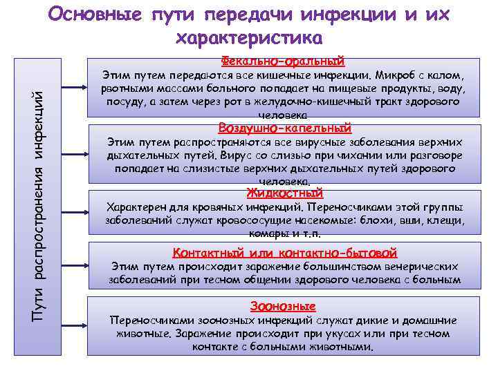       Основные пути передачи инфекции и их  