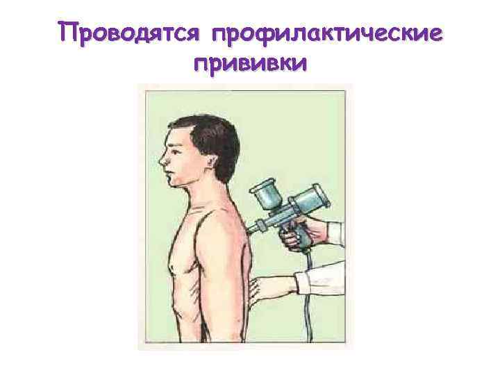 Проводятся профилактические   прививки 