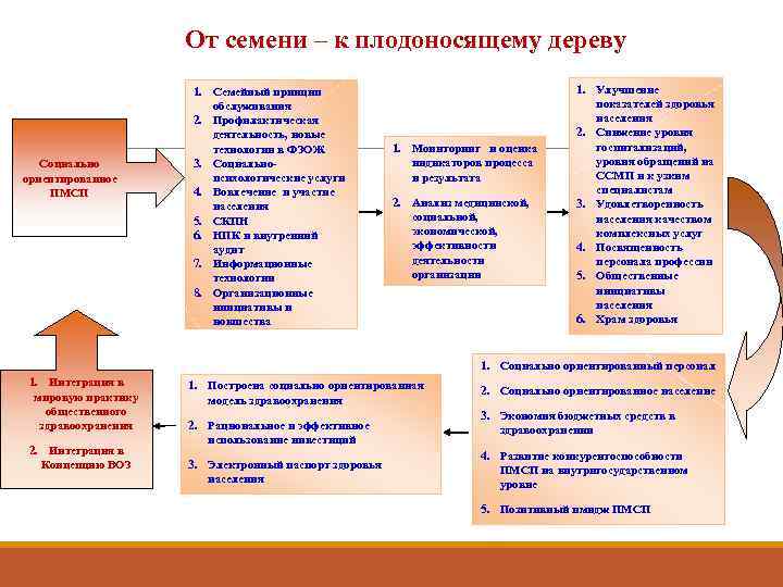      От семени – к плодоносящему дереву   