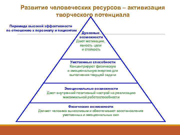 Развитие человеческих ресурсов. Формирование человеческих ресурсов. Развитие человеческих ресурсов в организации. Направления развития человеческих ресурсов организации.