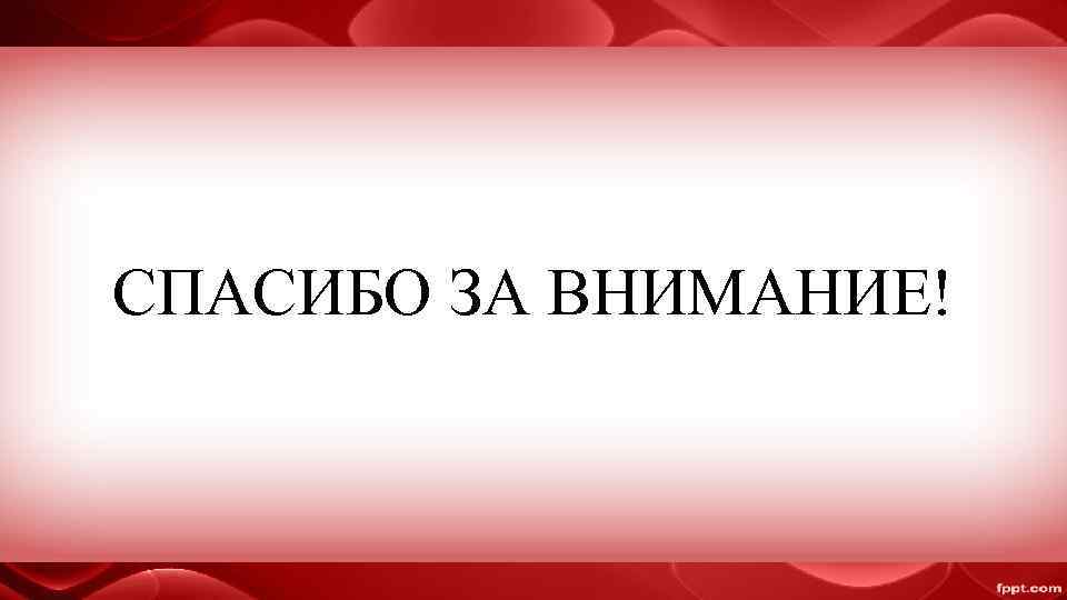 СПАСИБО ЗА ВНИМАНИЕ! 