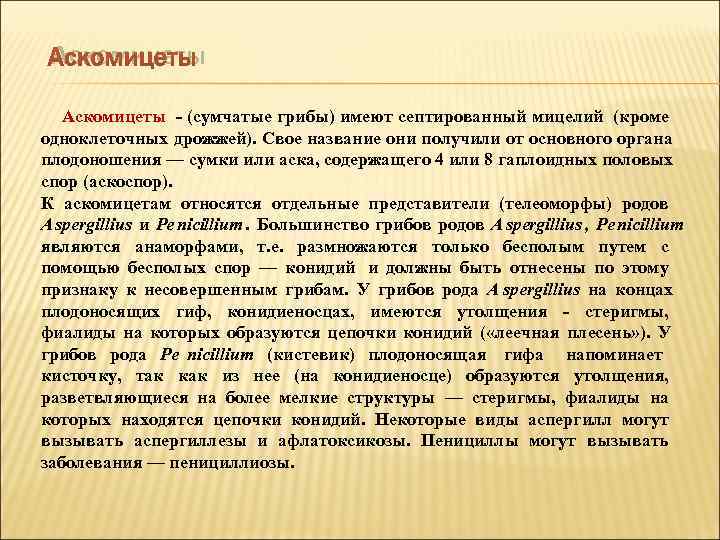  Аскомицеты  (сумчатые грибы) имеют септированный мицелий (кроме одноклеточных дрожжей). Свое название они