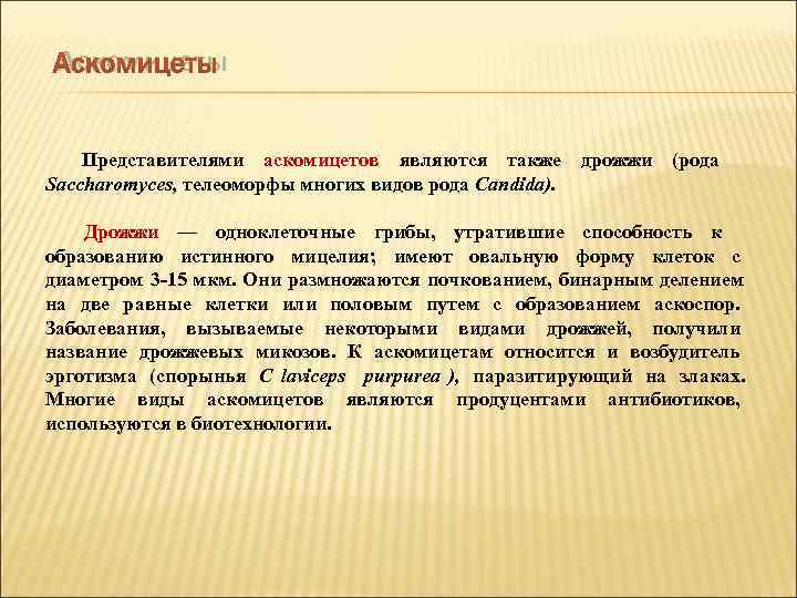  Аскомицеты  Представителями аскомицетов являются также дрожжи (рода Saccharomyces, телеоморфы многих видов рода