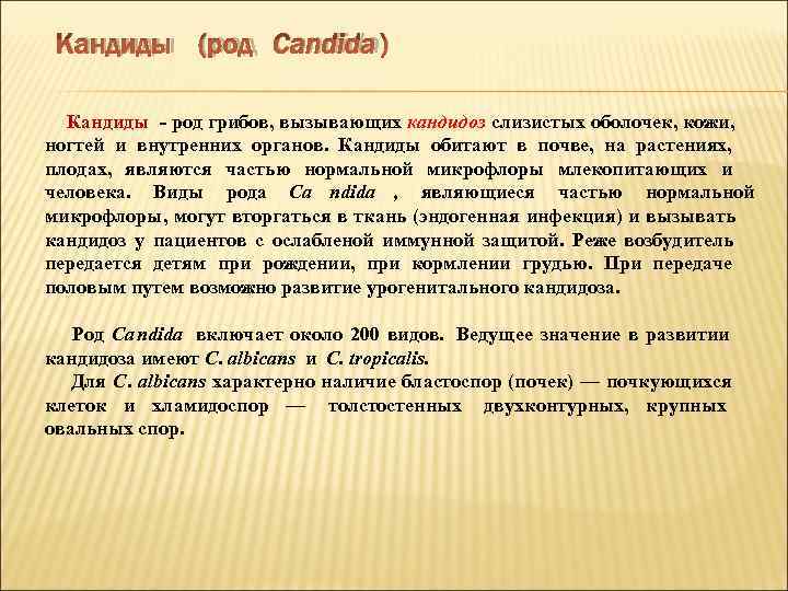  Кандиды (род Candida)  Кандиды  род грибов, вызывающих кандидоз слизистых оболочек, кожи,