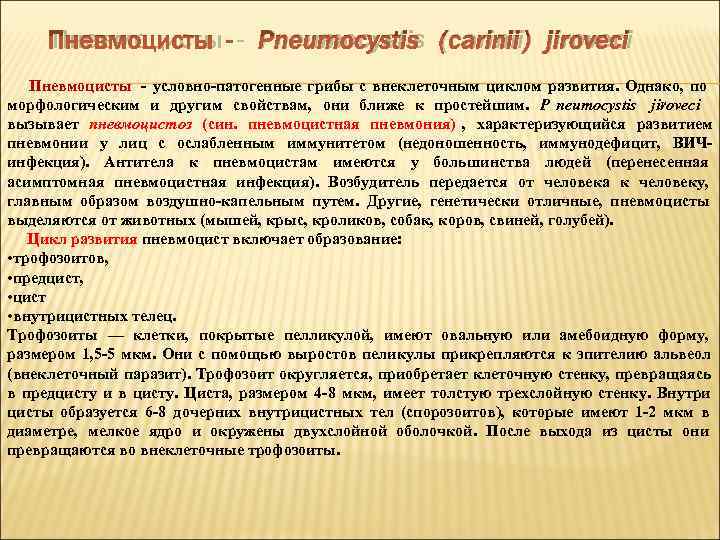  Пневмоцисты - Pneumocystis (carinii) jiroveci  Пневмоцисты  условно патогенные грибы с внеклеточным