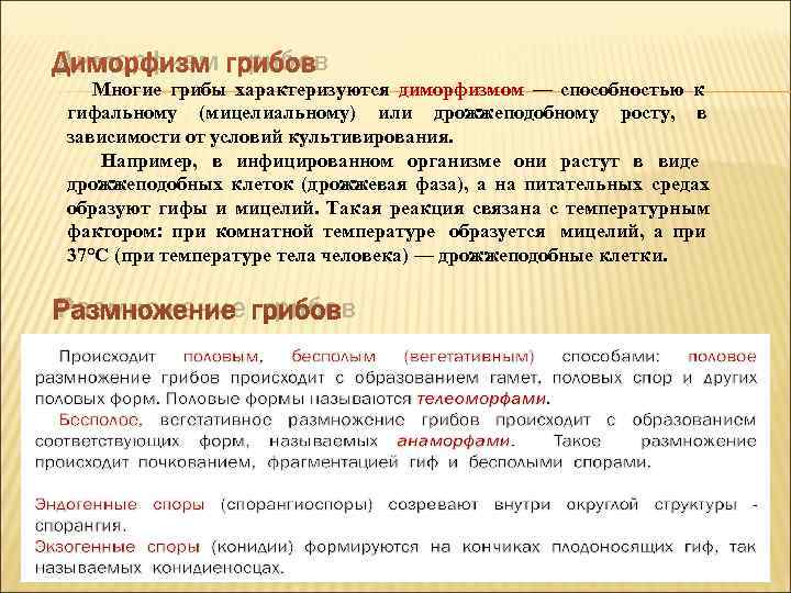Диморфизм грибов  Многие грибы характеризуются диморфизмом — способностью к гифальному (мицелиальному) или дрожжеподобному