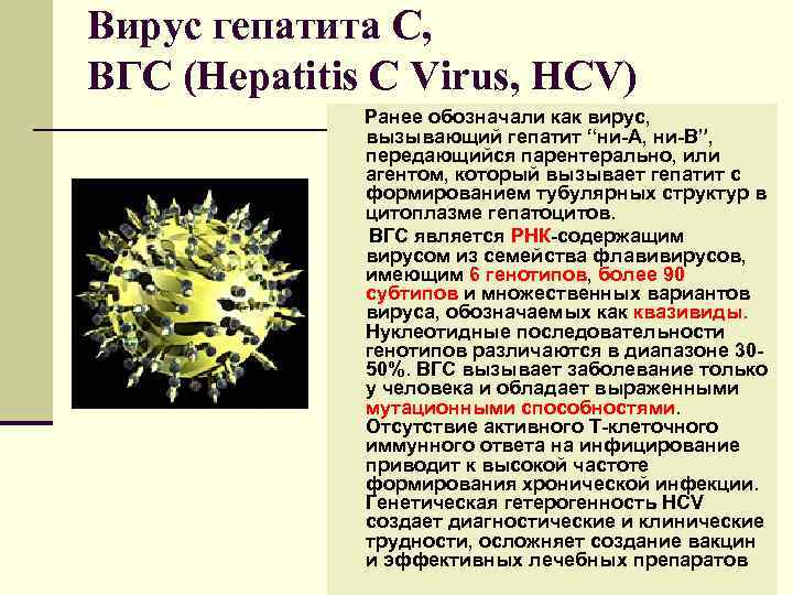 Вирус гепатита С, ВГС (Hepatitis С Virus, HCV)    Ранее обозначали как