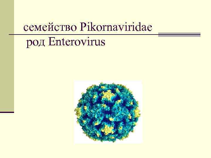 семейство Pikornaviridae род Enterovirus 