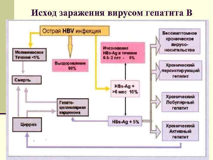 Исход заражения вирусом гепатита В 
