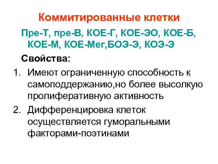 Коммитированные клетки Пре-Т, пре-В, КОЕ-Г, КОЕ-ЭО, КОЕ-Б, КОЕ-Мег, БОЭ-Э, КОЭ-Э Коммитированные клетки Пре-Т, пре-В, КОЕ-Г, КОЕ-ЭО, КОЕ-Б, КОЕ-Мег, БОЭ-Э, КОЭ-Э