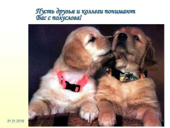    Пусть друзья и коллеги понимают   Вас с полуслова! 21.