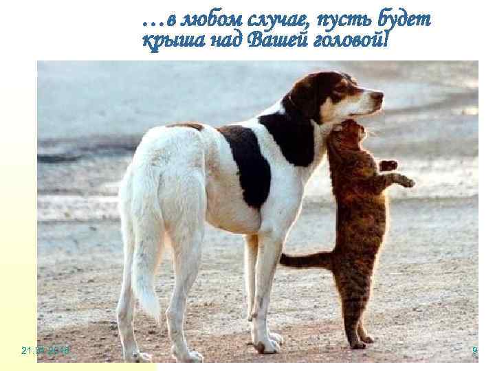    …в любом случае, пусть будет   крыша над Вашей головой!