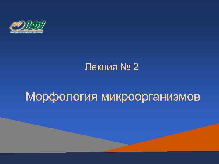  Лекция № 2  Морфология микроорганизмов 