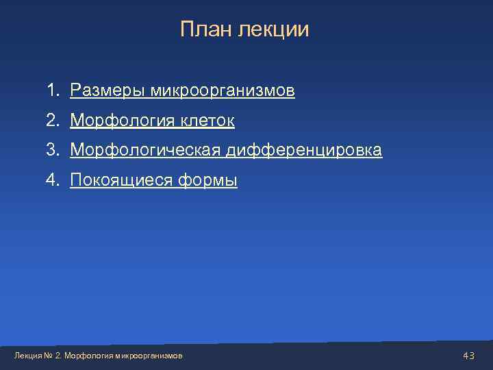        План лекции   1. Размеры микроорганизмов