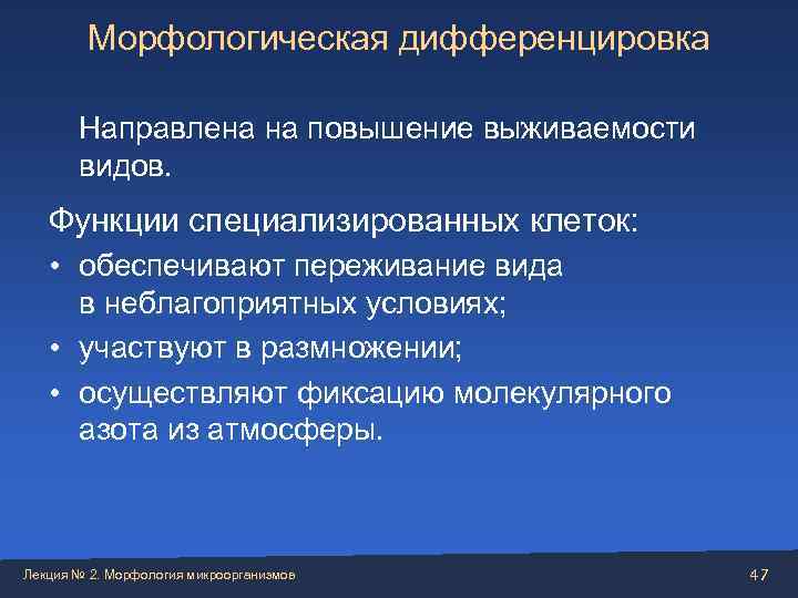   Морфологическая дифференцировка   Направлена на повышение выживаемости   видов. Функции