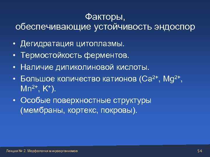    Факторы,  обеспечивающие устойчивость эндоспор • Дегидратация цитоплазмы.  • Термостойкость