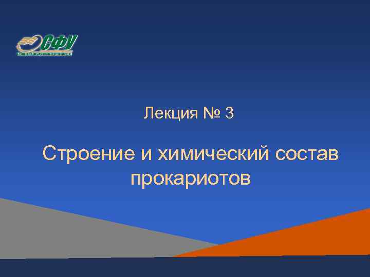    Лекция № 3 Строение и химический состав   прокариотов 
