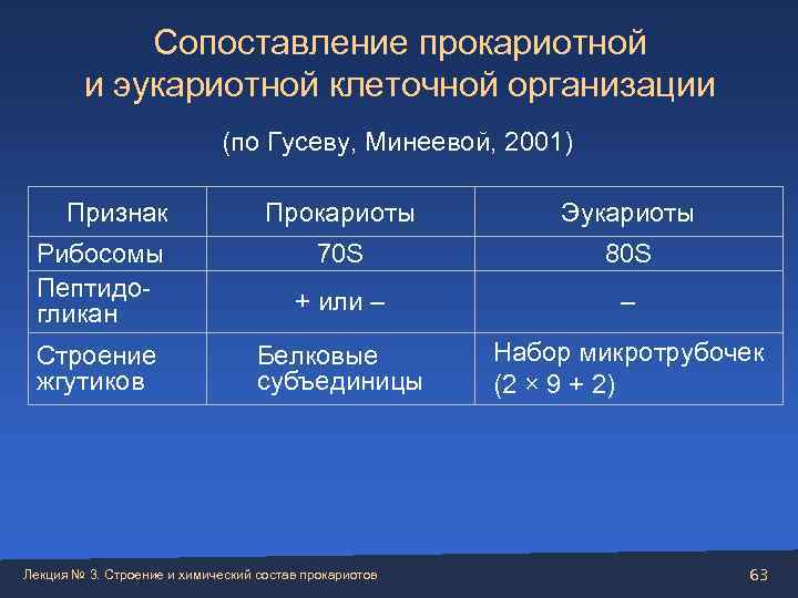   Сопоставление прокариотной     и эукариотной клеточной организации  
