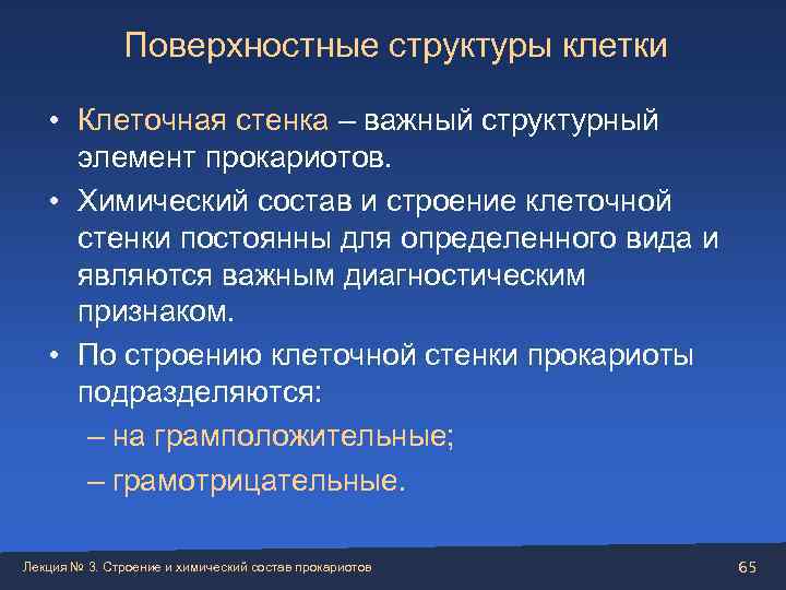   Поверхностные структуры клетки • Клеточная стенка – важный структурный  элемент