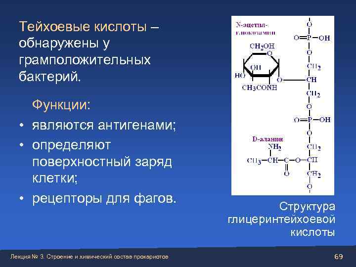 Функция кислота. Функции тейхоевых кислот. Тейхоевые кислоты грамположительных бактерий функции. Функции тейхоевых кислот клеточной стенки. Тейхоевые кислоты у бактерий.