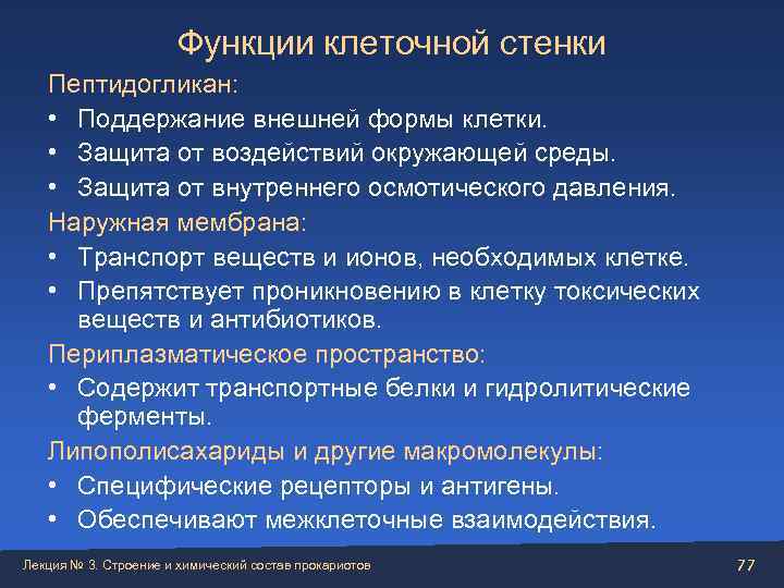      Функции клеточной стенки  Пептидогликан: • Поддержание внешней формы