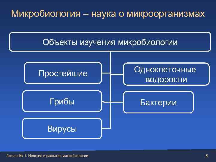  Микробиология – наука о микроорганизмах     Объекты изучения микробиологии 