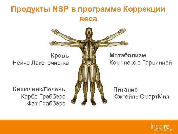 Продукты NSP в программе Коррекции    веса   Кровь  Метаболизм